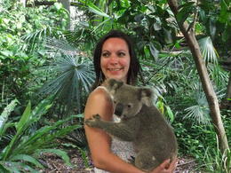 Photo of Cuddling a koala Me with a gorgeous koala at Lone Pine Koala Sanctuary , hayley g - January 2011