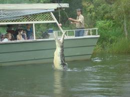 Photo of Croc Feeding On the boat in the croc waters. The boat is completely safe and sealed though. Good fun!, Gabrielle H - March 2008