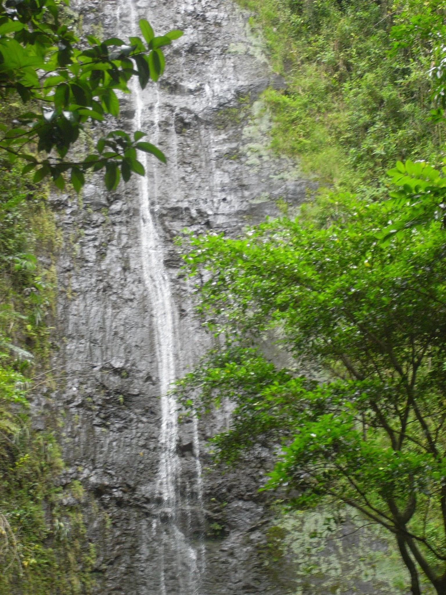 Manoa Waterfall - 17-July-2009
