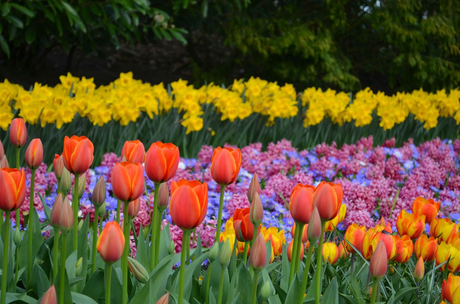 Keukenhof Gardens