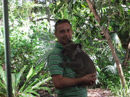 Photo of Koala cuddles My hubby with a koala at Lone Pine Koala Sanctuary , hayley g - January 2011