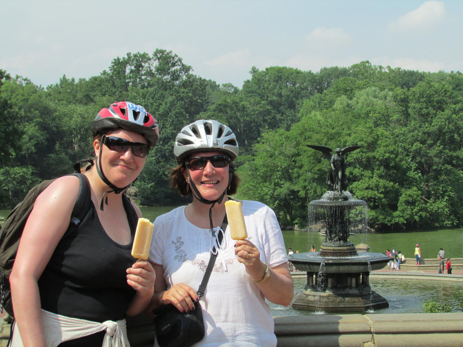 Stop in Central Park
