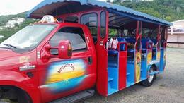 Photo of Sunny Liston tour bus for the true Caribbean experience. A harrowing ride, better than a roller coaster, but just about the same experience! Beautiful mountain areas if you dare to look down! , Barbara S - September 2016