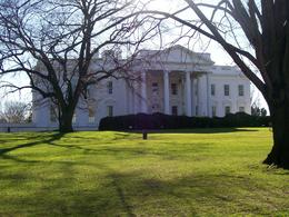 Photo of The White House We had to view it from the back, this was right before the Inauguration., Jasmine S - January 2009