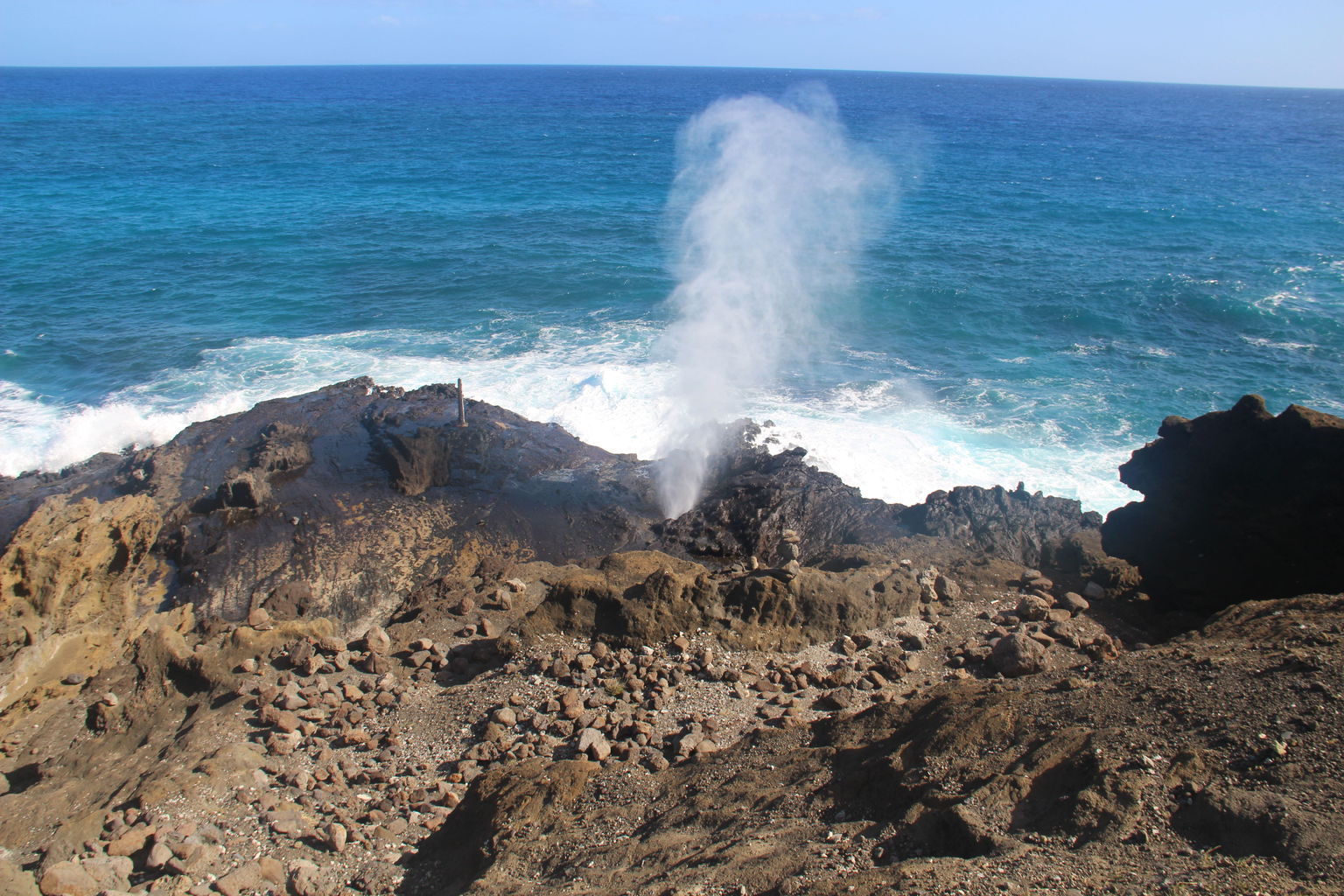 Blowhole