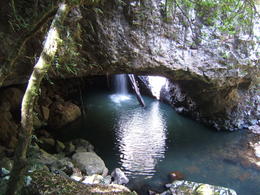 Photo of Springbrook NP A photo does not give you the all the senses of this ancient wonder, The surround-sounds, the air we inhaled, the botany aromas, the taste of spring water and the sensation that time stood still. , Svea G S - November 2013