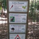 medium resolution image