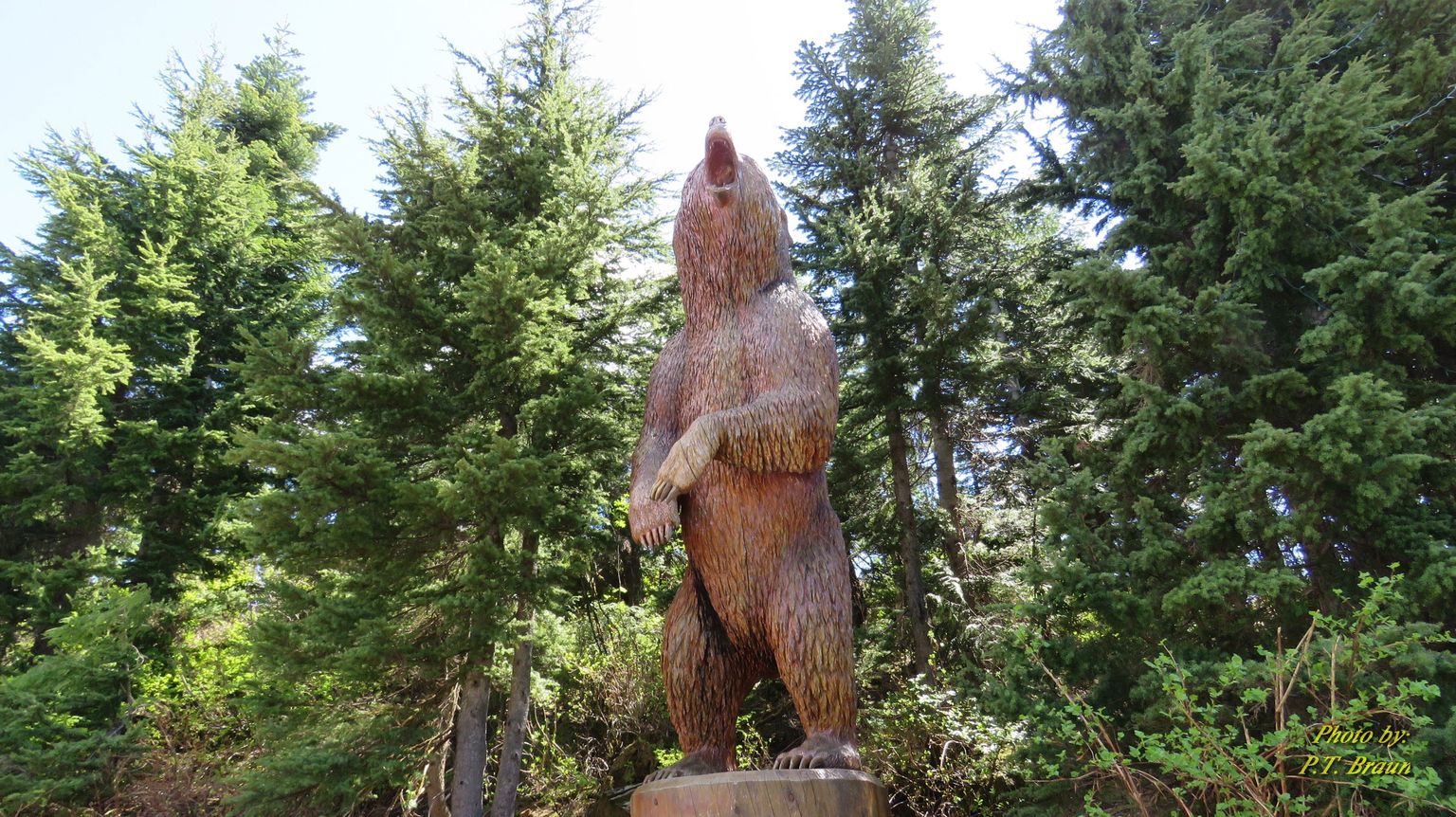 Cool, huge, bear carving!