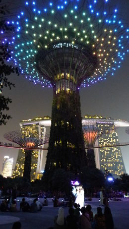 Photo of Gardens by the Bay Light and Sound Show Gardens by the Bay Light and Sound Show with Bride and Groom photo shoot , Trevor W - October 2015