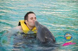 Photo of Ocean World Dolphin Swim - kissing the dolphins! Ocean World Dolphin Swim - kissing the dolphins! - September 2011