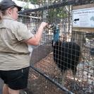 medium resolution image