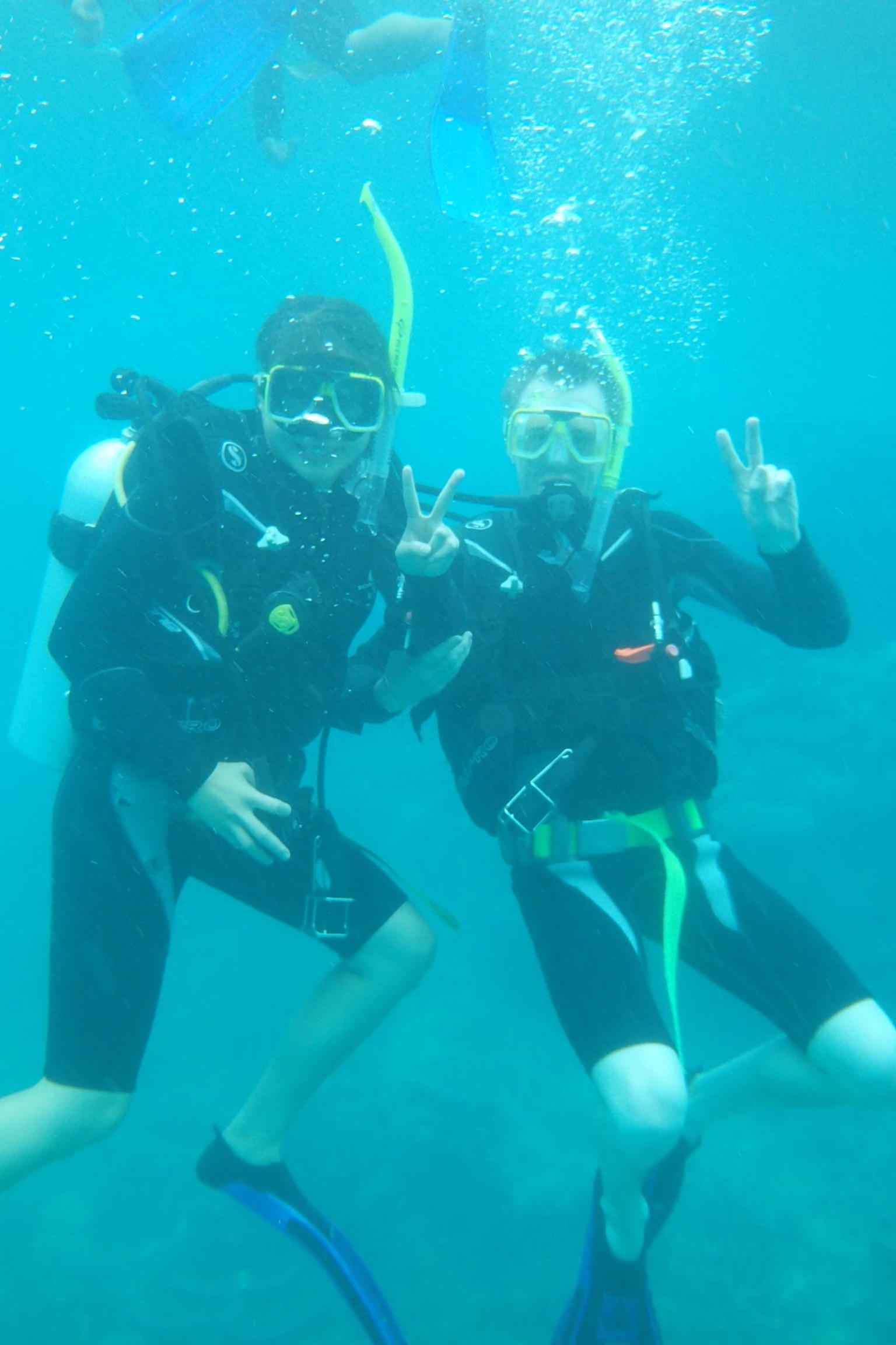 great barrier reef dive