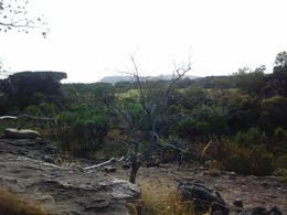 Photo of Kakadu National Park and Arnhem Land Kakadu National Park and Arnhem Land, Kierra - July 2014