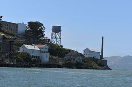 Photo of The Rock and Muir Woods - so enjoyable Alcatraz was very interesting, loved it......Muir Woods were very zen and the overwhelming feeling of serenity was one I will never forget. , Amanda P - June 2016