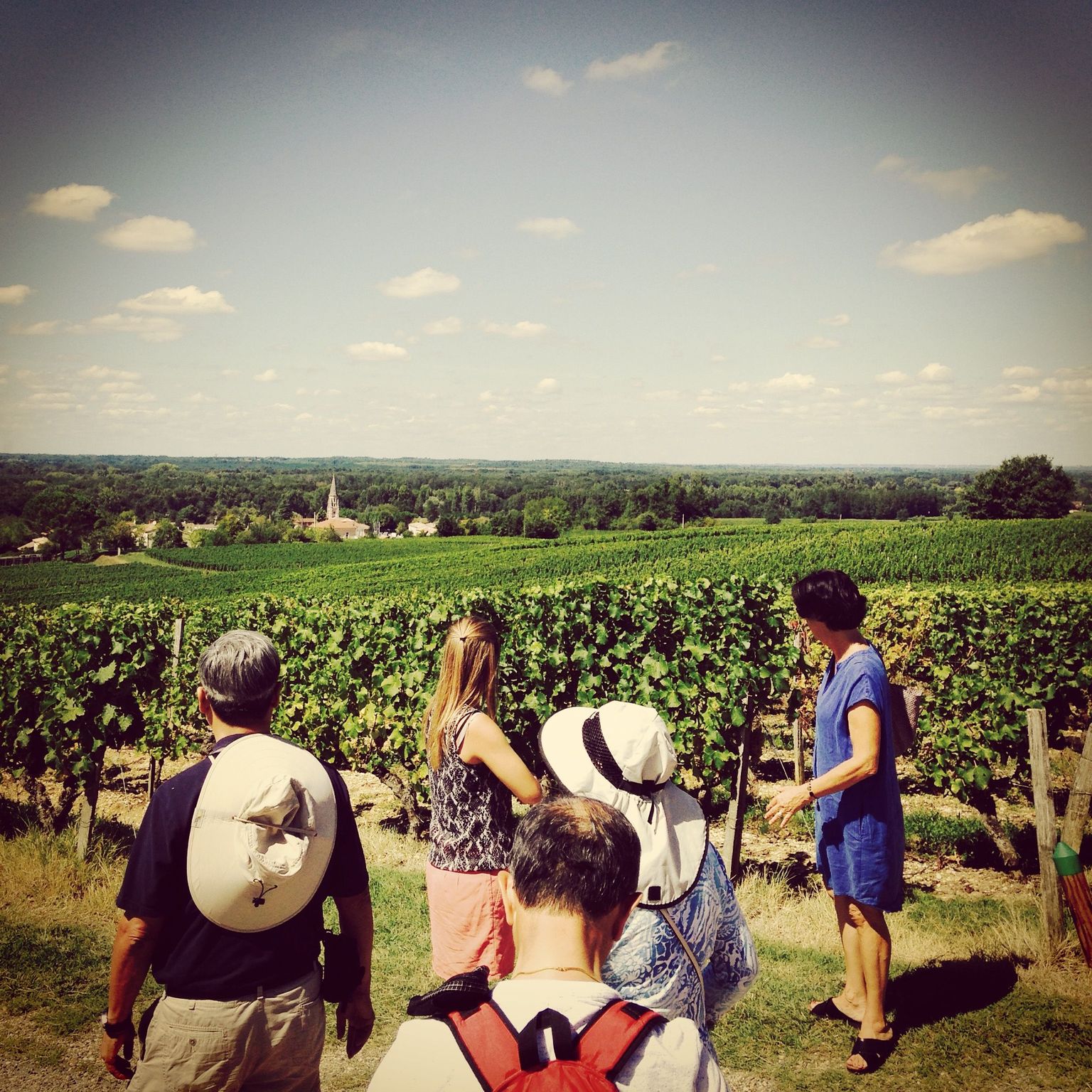 Wine yard