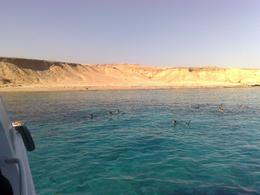 Photo of Ras Mohamed Red Sea Cruise & Snorkeling, Sharm el Sheikh Ras Mohamed Red Sea Cruise & Snorkeling: me snorkeling... come in, the water is warm! - October 2011