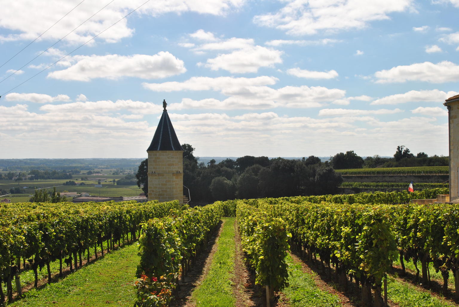 Vineyards of Magnan La Gaffeliere
