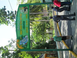 Photo of Dunns River Falls My husband at the entrance of Dunn's River Falls.. , islandflower73 - November 2015