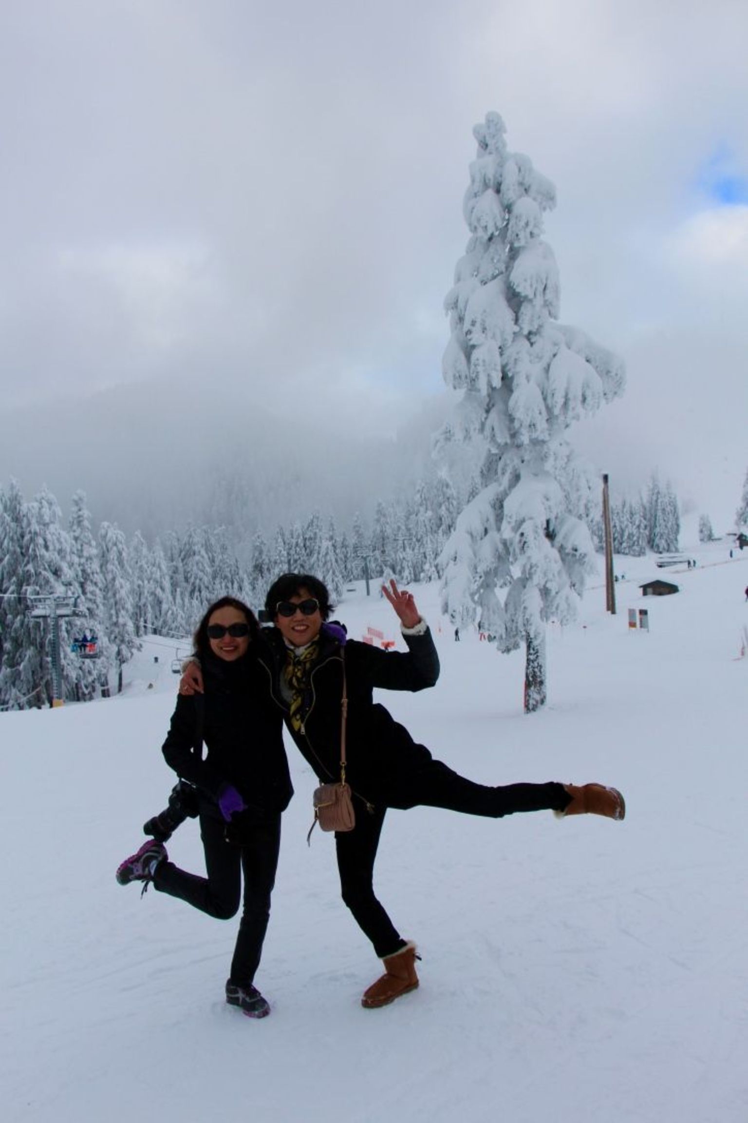 Grouse Mountain