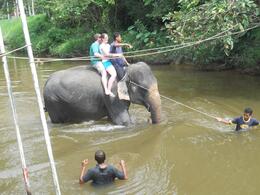 Photo of Honeymooners riding into the river (preparing to bathe an elephant) Preparing to bathe an elephant, Kuala Gandah Elephant Conservation Center - July 2011