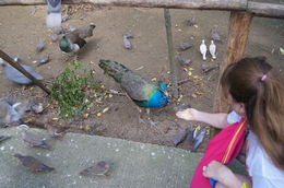 Photo of Feeding the birds was so much fun! My husband and I really enjoyed feeding the birds. The guide gave us lots of seed so the birds would eat right out of our hands! The guide really knew her stuff. , Mandy S - July 2015