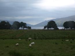 Photo of West Highlands landscape From the bus again. For a foreigner this Scottish landscape is unique., Patricia Y - August 2009