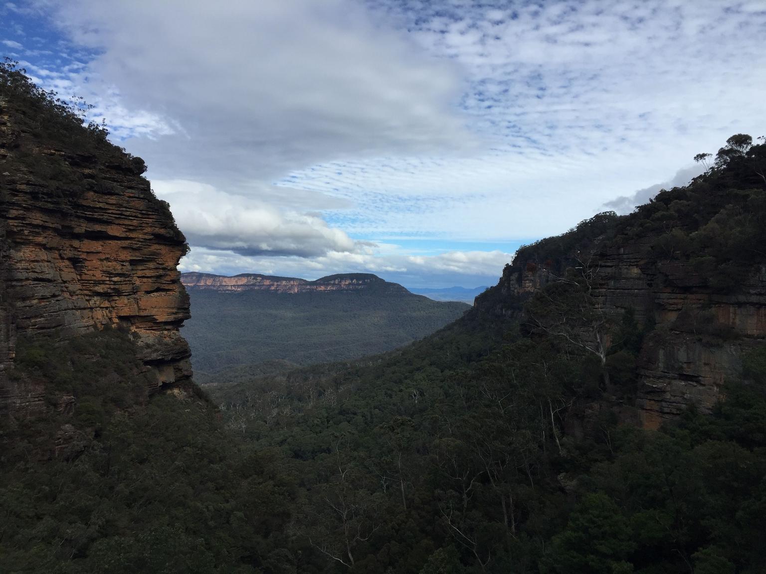 Blue Mountains from Lincoln Rock