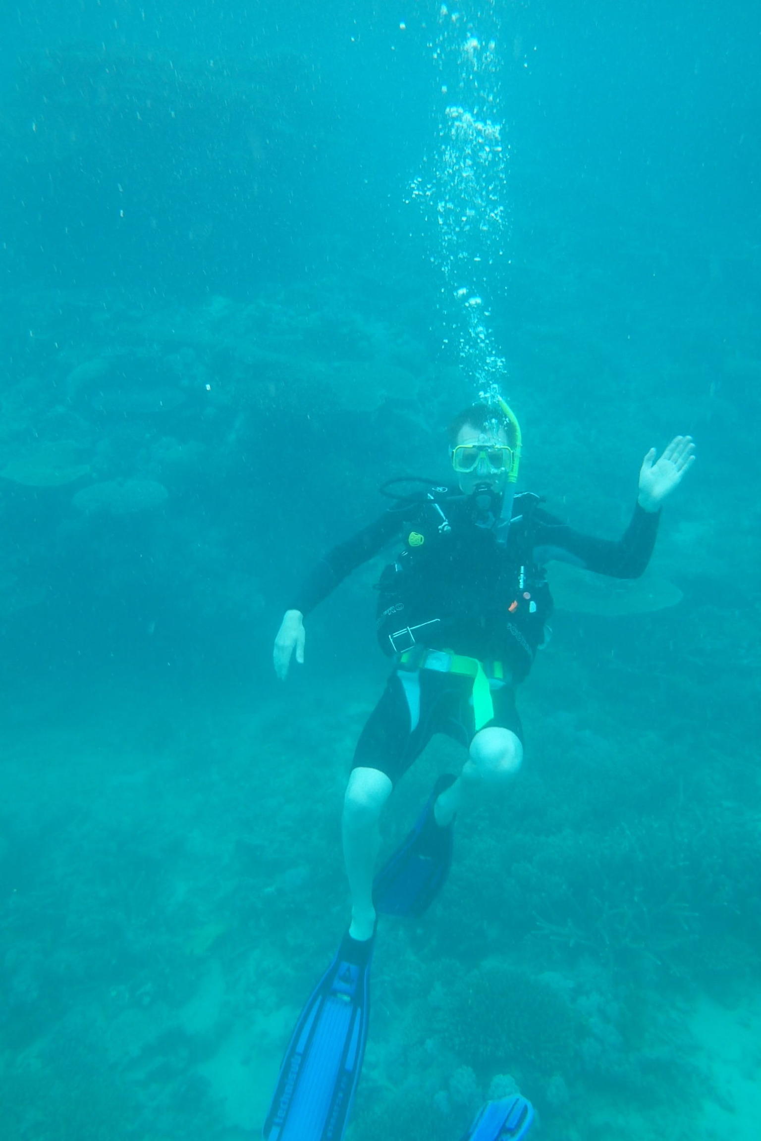 Dive at great barrier reef
