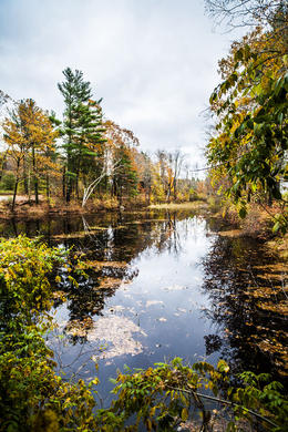 Photo of The Lake in the Fall This lake was next to the restaurant where we stopped for lunch...... , mail - November 2014