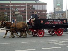 Photo of Brewery Wagon Despite the traffic, this colourful, working horse drawn vehicle was going about its business. This is an excellent example of the wild contrasts in this delightfully cosmopolitan and vivid city., Roddy K - August 2010