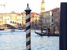 Photo of Rialto Bridge The tour guide took us out to a pier, where we had a great view of the Rialto Bridge. , kmaria1202 - January 2016