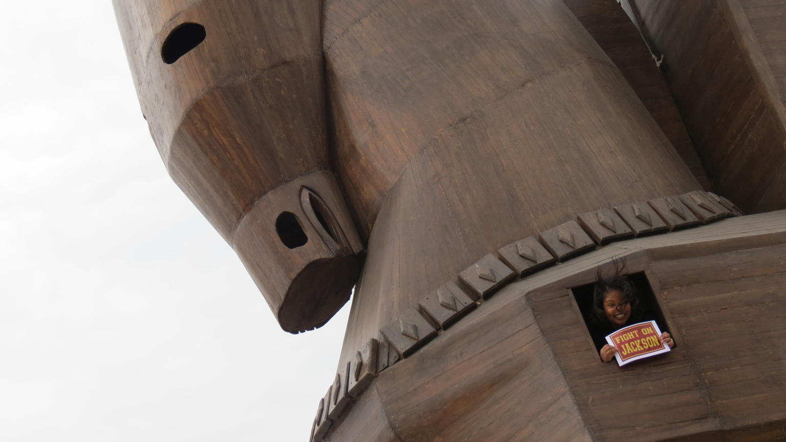 Inside the Trojan Horse