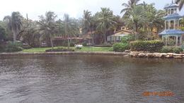 Photo of Home of a retail giant This is a home that is located on the river in Fort Lauderdale. It can be seen from the deck of the Jungle Queen. , charmain w - September 2015