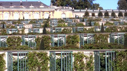 Photo of Potsdam Half-Day Trip from Berlin. Spending a day in this beautiful UNESCO World Heritage-listed city. - March 2012