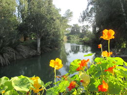 Photo of Yardenit Baptismal Site along the Jordan River Yardenit Baptismal Site along the Jordan River , Toney H - March 2015