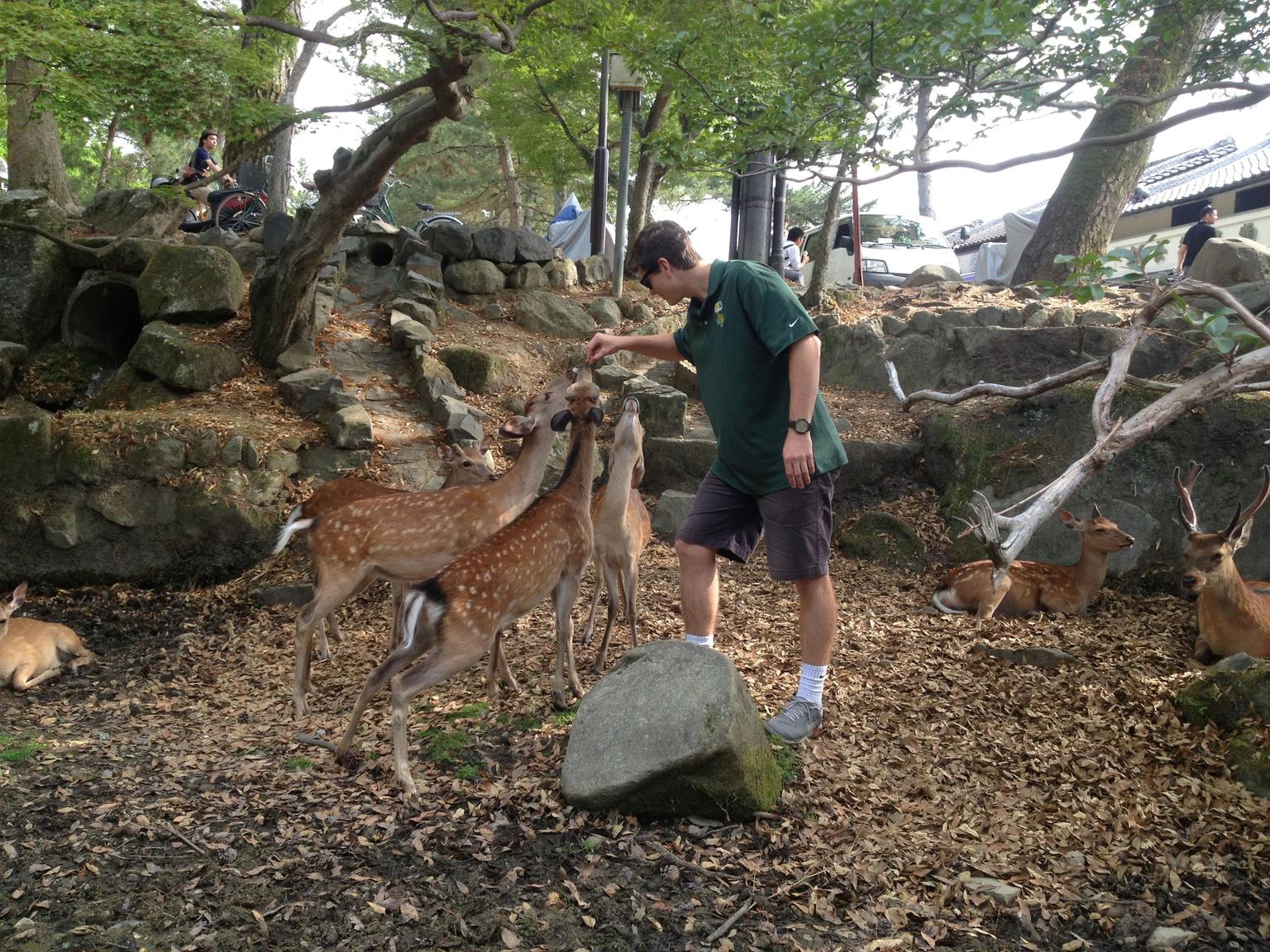 Nara Deer Park