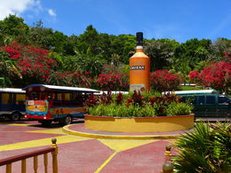 Photo of Sunnys Open-air bus atop Mountain Top. Sunny's bus is the brightly colored red one to the left. , Robby B - April 2015