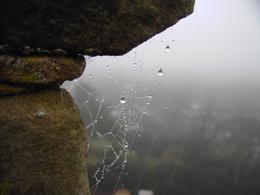 Photo of Warwick Castle Spiderweb From walking along the castle wall looking down on the villiage below. - December 2009