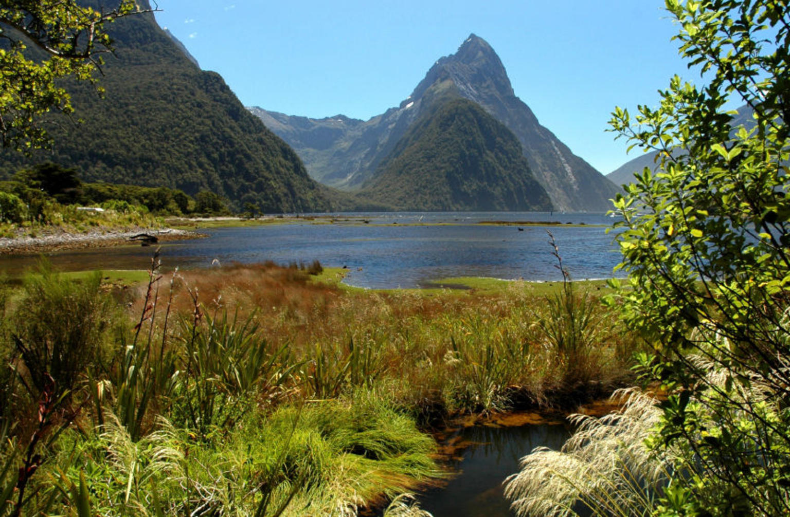 Milford Sound