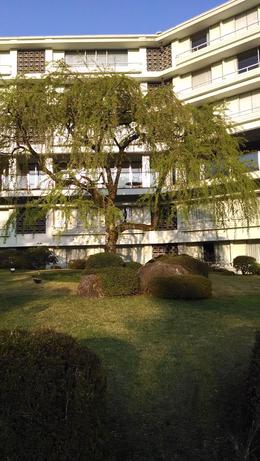 Photo of hotel/onsen Kawaki-en Grounds of hotel in Hakone, which is actually more of a district than discrete town.Home o f the $56 buffet... , Michael N - May 2014
