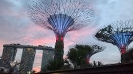 Photo of Gearing up for the Gardens The sun was setting as we got ourselves in place for the magical light show at Gardens by the Bay....don't worry if you don't get a seat....just lie on the ground....the view is just as great. , bunchof5 - July 2015