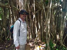 Photo of Rain Forest Hike We hiked through the rainforest at Kuranda - it was a great way to break up the Kuranda trip. We still had time for lunch and a bit of shopping. , jeanievan - September 2016