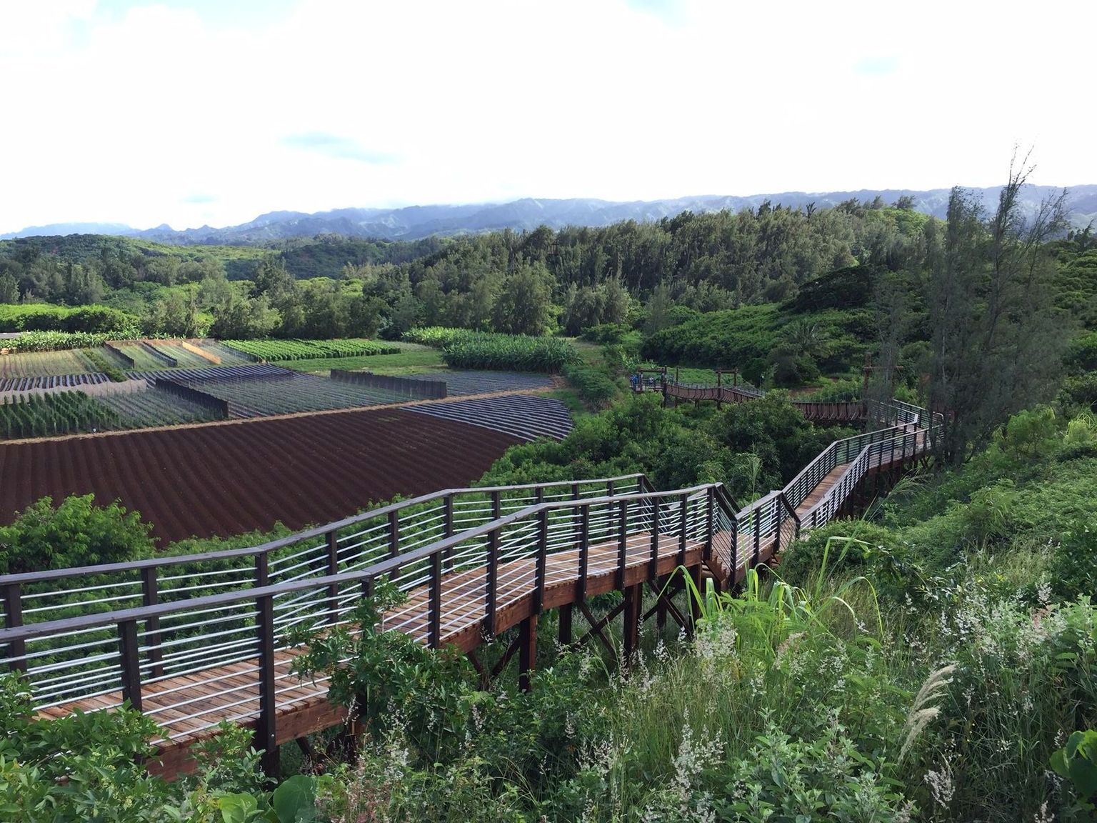 Zipline Tour On Oahu's North Shore