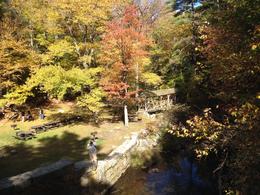 Photo of Willard Brook State Forest (October 12, 2014) One of our photo stops on the Fall Foliage Tour on Sunday, October 12, 2014. A beautiful area in the Willard Brook State Forest with a covered bridge, waterfall and spectacular trees. , Kevan B - October 2014