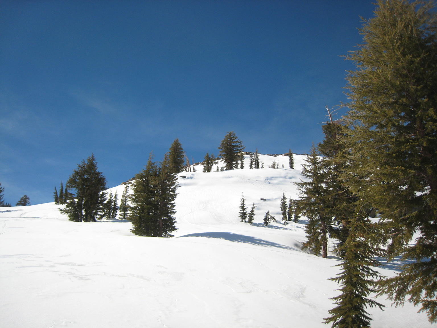 Around Carson Pass