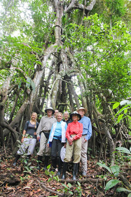 Photo of 4-Day Amazon River Luxury Cruise from Iquitos on the 'Aria' Walking through the jungle - December 2013