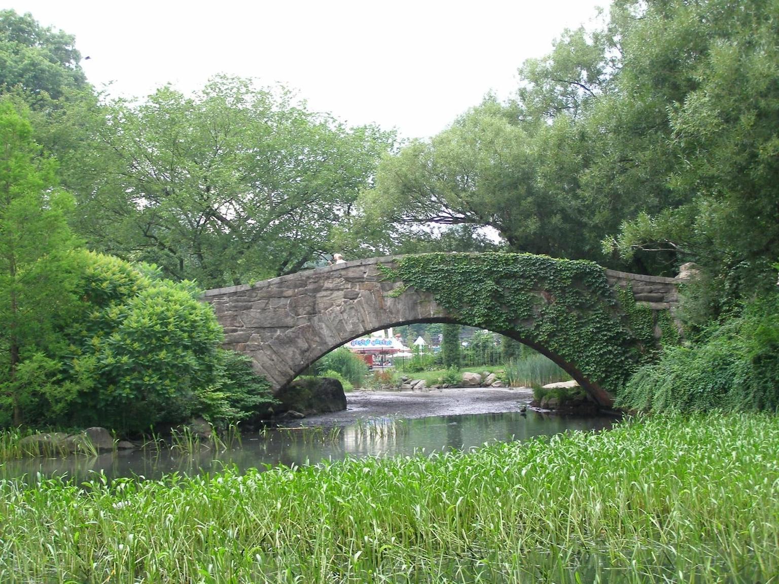Graceful Arched Bridge