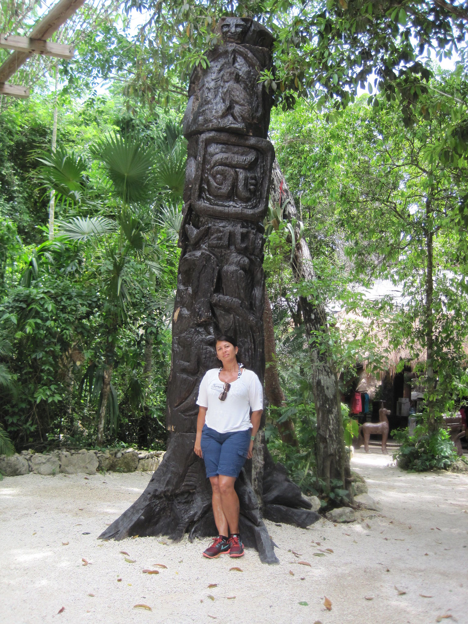 Selvatica