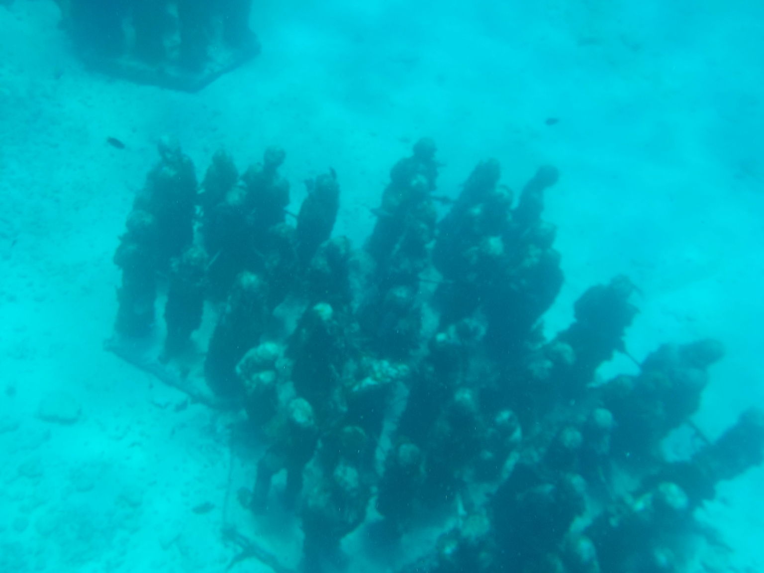 Underwater Museum