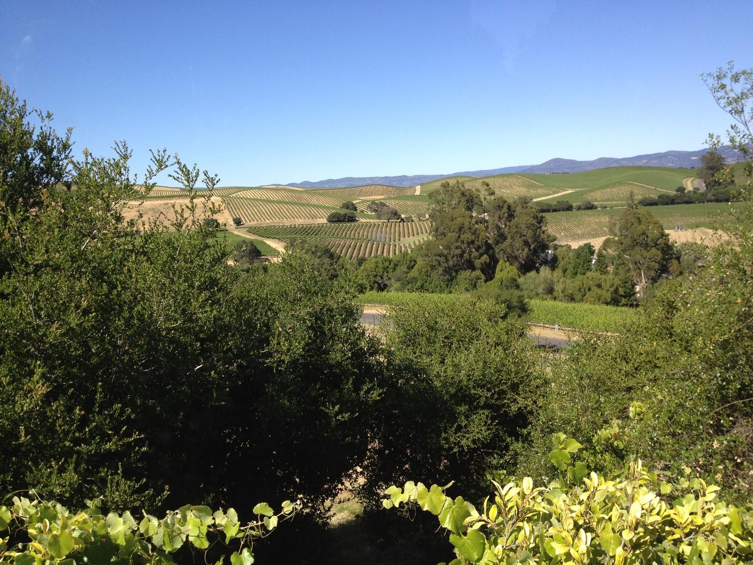 Wine Country Tour from San Francisco